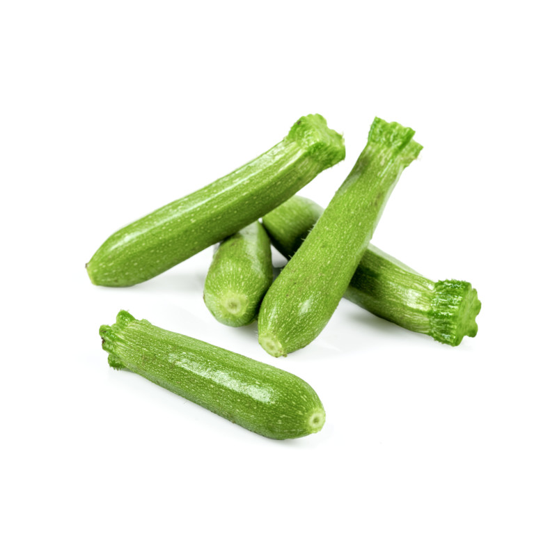 MINI COURGETTE LONGUE SALES 8X5PCS